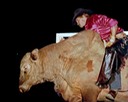 Toots on Bull